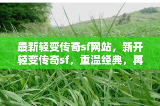 最新轻变传奇sf网站，新开轻变传奇sf，重温经典，再续传奇