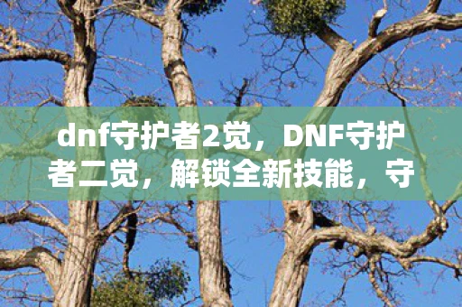 dnf守护者2觉，DNF守护者二觉，解锁全新技能，守护之力再升级