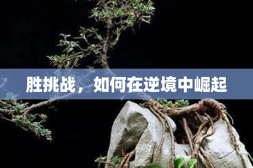 胜挑战，如何在逆境中崛起