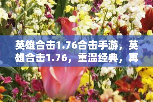 英雄合击1.76合击手游，英雄合击1.76，重温经典，再现传奇