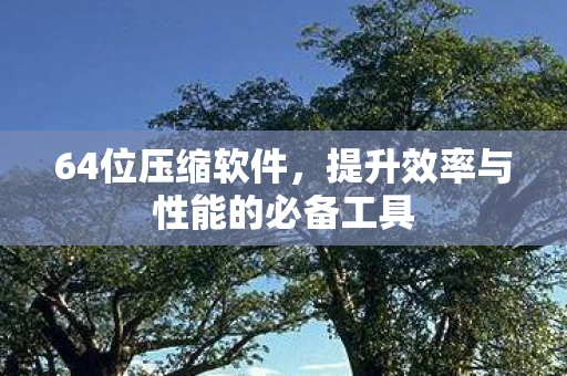 64位压缩软件，提升效率与性能的必备工具