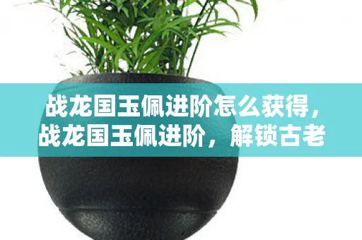 战龙国玉佩进阶怎么获得，战龙国玉佩进阶，解锁古老神秘力量的钥匙