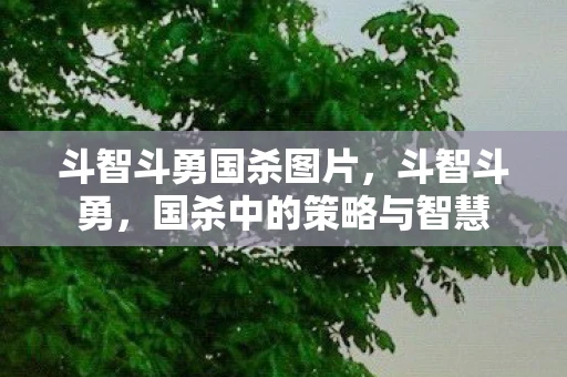 斗智斗勇国杀图片，斗智斗勇，国杀中的策略与智慧