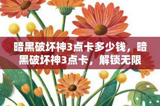 暗黑破坏神3点卡多少钱，暗黑破坏神3点卡，解锁无限可能的钥匙