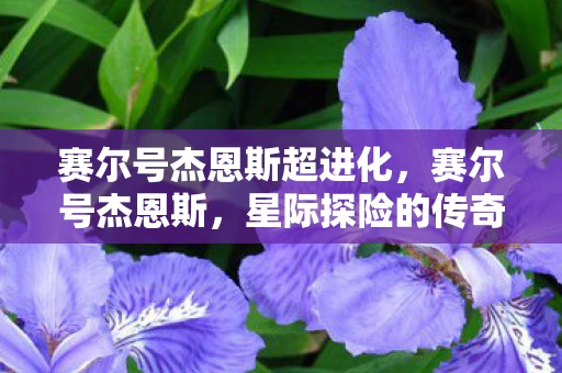 赛尔号杰恩斯超进化，赛尔号杰恩斯，星际探险的传奇英雄