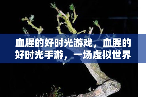 血腥的好时光游戏，血腥的好时光手游，一场虚拟世界的狂欢