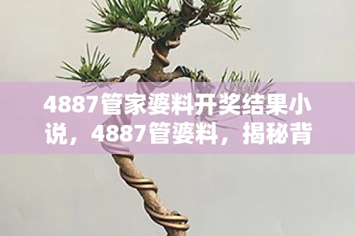 4887管家婆料开奖结果小说，4887管婆料，揭秘背后的真相与风险
