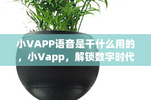 小VAPP语音是干什么用的，小Vapp，解锁数字时代的新娱乐方式