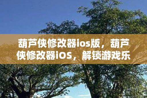 葫芦侠修改器ios版，葫芦侠修改器iOS，解锁游戏乐趣的神奇工具