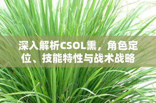 深入解析CSOL熏图片
