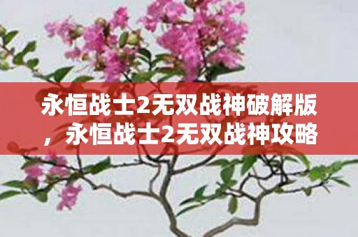 永恒战士2无双战神破解版,永恒战士2无双战神攻略 永恒战士2无双战神破解版,永恒战士2无双战神攻略