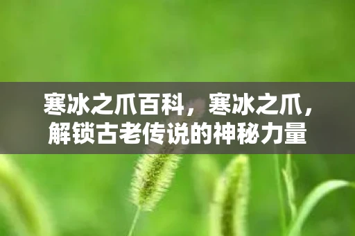 寒冰之爪百科,寒冰之爪,解锁古老传说的神秘力量 寒冰之爪百科,寒冰之爪,解锁古老传说的神秘力量