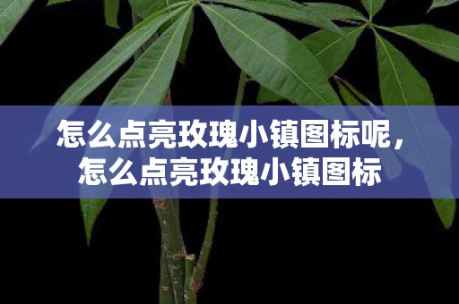 怎么点亮玫瑰小镇图标呢,怎么点亮玫瑰小镇图标 怎么点亮玫瑰小镇图标呢,怎么点亮玫瑰小镇图标