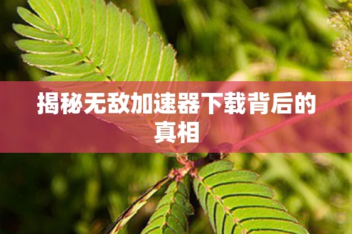 揭秘无敌加速器下载背后的真相 揭秘无敌加速器下载背后的真相