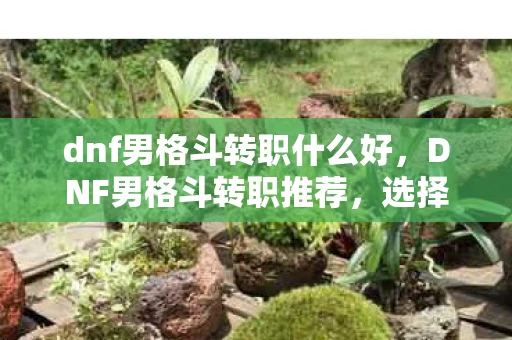 dnf男格斗转职什么好，DNF男格斗转职推荐，选择最适合你的战斗风格