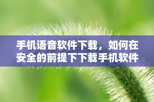 手机语音软件下载,如何在安全的前提下下载手机软件 手机语音软件下载,如何在安全的前提下下载手机软件