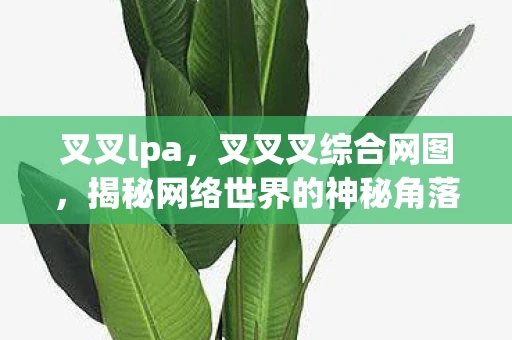 叉叉lpa,叉叉叉综合网图,揭秘网络世界的神秘角落 叉叉lpa,叉叉叉综合网图,揭秘网络世界的神秘角落