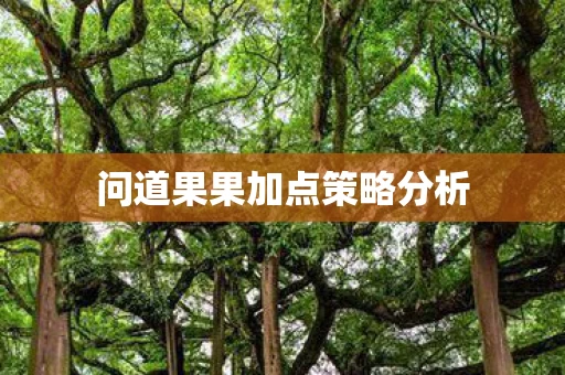 问道果果加点策略分析图片