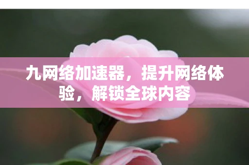 九网络加速器，提升网络体验，解锁全球内容