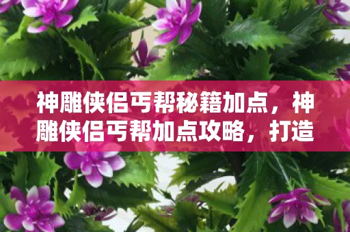 神雕侠侣丐帮秘籍加点，神雕侠侣丐帮加点攻略，打造最强丐帮阵容