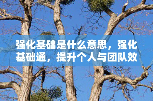 强化基础是什么意思，强化基础通，提升个人与团队效能的秘诀