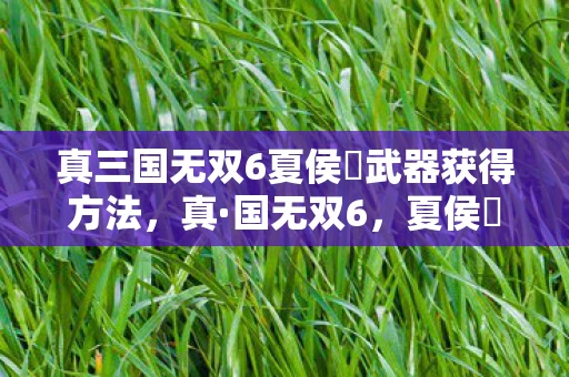 真三国无双6夏侯惇武器获得方法，真·国无双6，夏侯惇的传奇战记