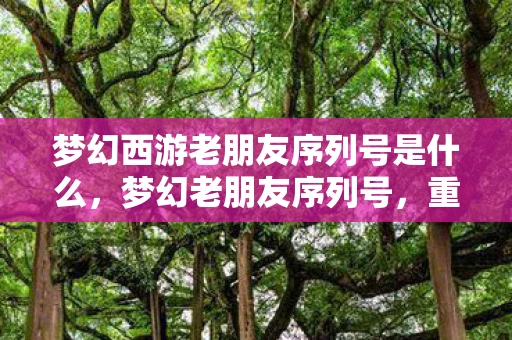 梦幻西游老朋友序列号是什么,梦幻老朋友序列号,重温经典,唤醒回忆 梦幻西游老朋友序列号是什么,梦幻老朋友序列号,重温经典,唤醒回忆