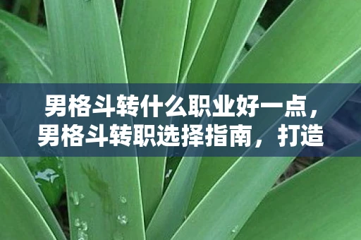 男格斗转什么职业好一点，男格斗转职选择指南，打造你的终极战斗角色