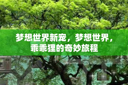 梦想世界新宠,梦想世界,乖乖狸的奇妙旅程 梦想世界新宠,梦想世界,乖乖狸的奇妙旅程