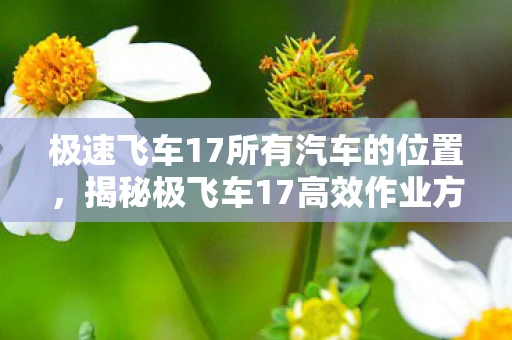 极速飞车17所有汽车的位置，揭秘极飞车17高效作业方法，提升游戏效率与体验