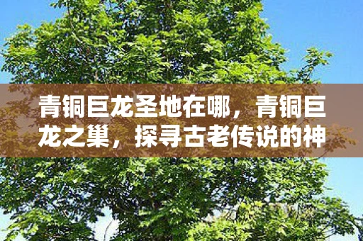 青铜巨龙圣地在哪,青铜巨龙之巢,探寻古老传说的神秘之地 青铜巨龙圣地在哪,青铜巨龙之巢,探寻古老传说的神秘之地