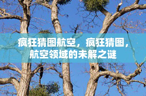 疯狂猜图航空,疯狂猜图,航空领域的未解之谜 疯狂猜图航空,疯狂猜图,航空领域的未解之谜