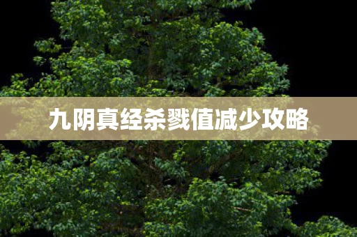 九阴真经杀戮值减少攻略图片