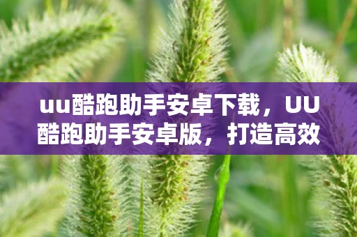 uu酷跑助手安卓下载，UU酷跑助手安卓版，打造高效便捷的移动办公新体验