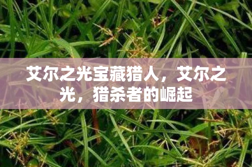 艾尔之光宝藏猎人，艾尔之光，猎杀者的崛起