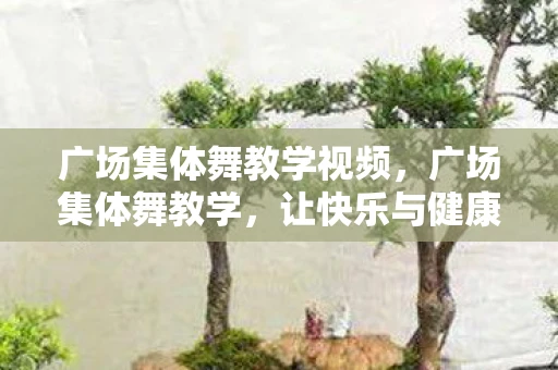 广场集体舞教学视频，广场集体舞教学，让快乐与健康共舞