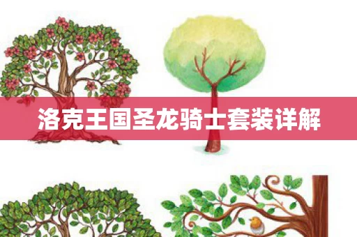 洛克王国圣龙骑士套装详解图片