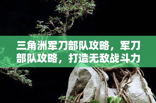 三角洲军刀部队攻略，军刀部队攻略，打造无敌战斗力的秘密