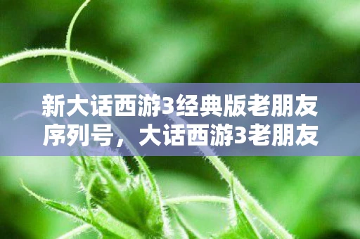 新大话西游3经典版老朋友序列号，大话西游3老朋友序列号，重温经典，再续前缘
