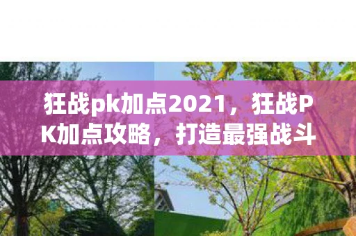 狂战pk加点2021，狂战PK加点攻略，打造最强战斗力的关键
