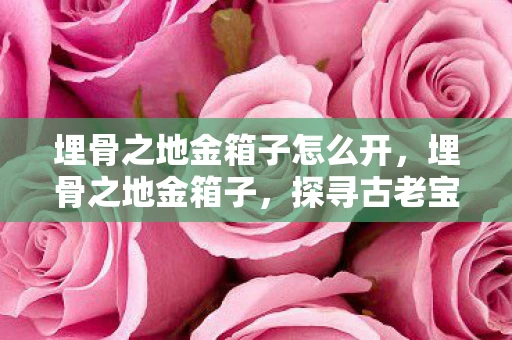 埋骨之地金箱子怎么开,埋骨之地金箱子,探寻古老宝藏的神秘之旅 埋骨之地金箱子怎么开,埋骨之地金箱子,探寻古老宝藏的神秘之旅