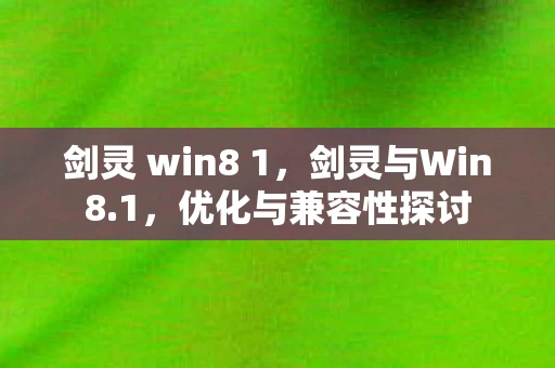 剑灵 win8 1，剑灵与Win8.1，优化与兼容性探讨