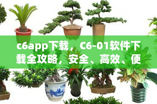 c6app下载，C6-01软件下载全攻略，安全、高效、便捷获取方式