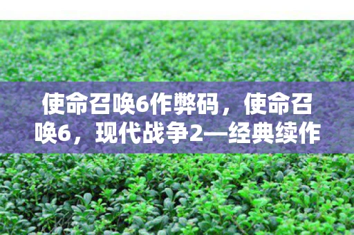 使命召唤6作弊码,使命召唤6,现代战争2—经典续作的震撼回归 使命召唤6作弊码,使命召唤6,现代战争2—经典续作的震撼回归