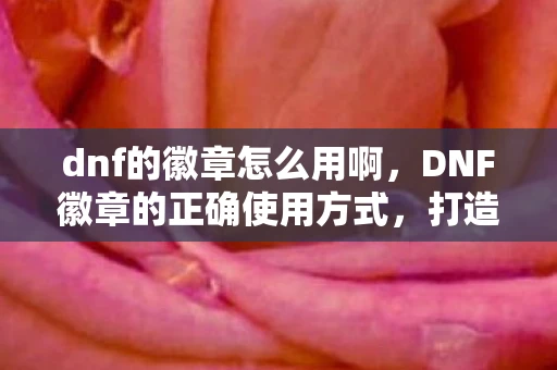 dnf的徽章怎么用啊，DNF徽章的正确使用方式，打造个性与力量的双重提升