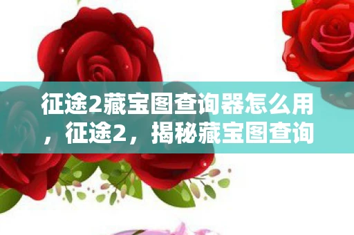 征途2藏宝图查询器怎么用，征途2，揭秘藏宝图查询器的神秘之旅