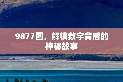 9877图，解锁数字背后的神秘故事
