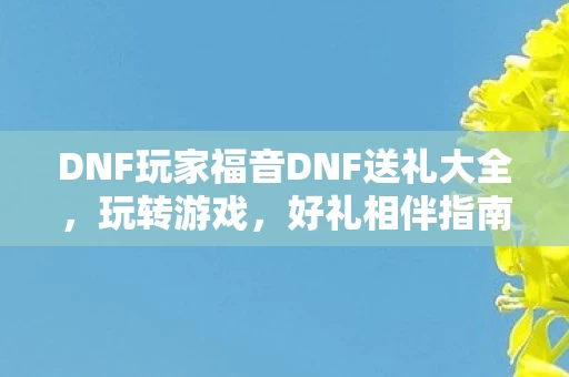 DNF玩家福音DNF送礼大全图片