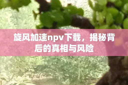 旋风加速npv下载,揭秘背后的真相与风险 旋风加速npv下载,揭秘背后的真相与风险