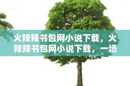 火辣辣书包网小说下载，火辣辣书包网小说下载，一场文字与想象的盛宴